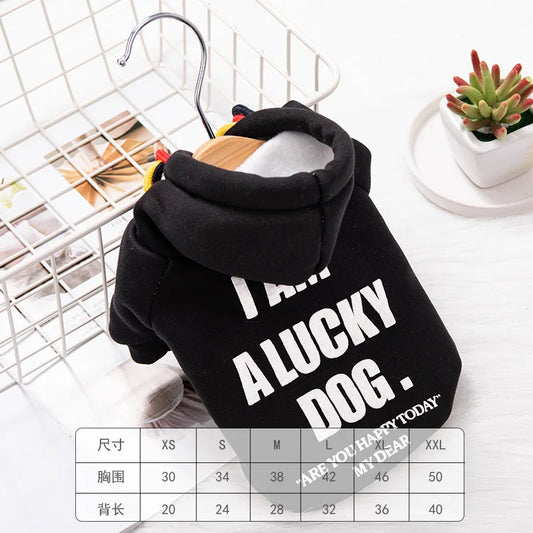 Pet Dog Clothes Teddy Bears Fighting Puppy Dog Keji Cat Clothes Fashion Fashion Brand Sweater  Autumn Winter Warmth